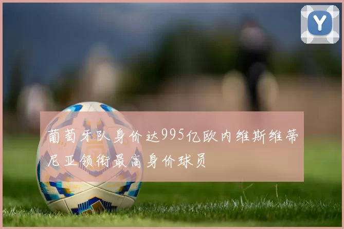 葡萄牙队身价达995亿欧内维斯维蒂尼亚领衔最高身价球员